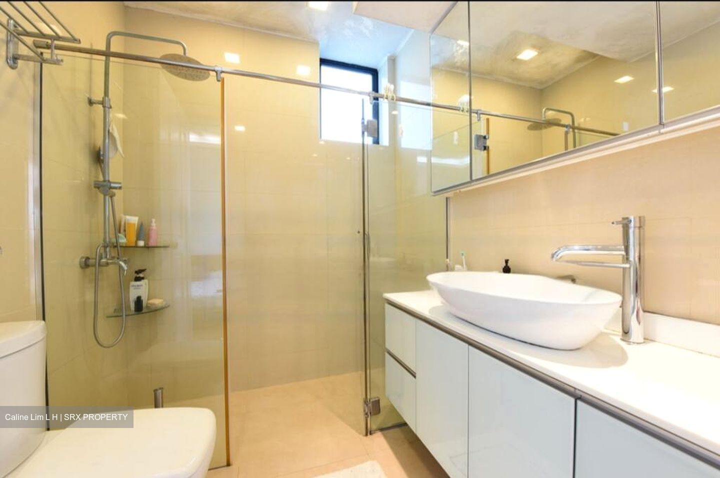 Spring Grove (D10), Condominium #473071581